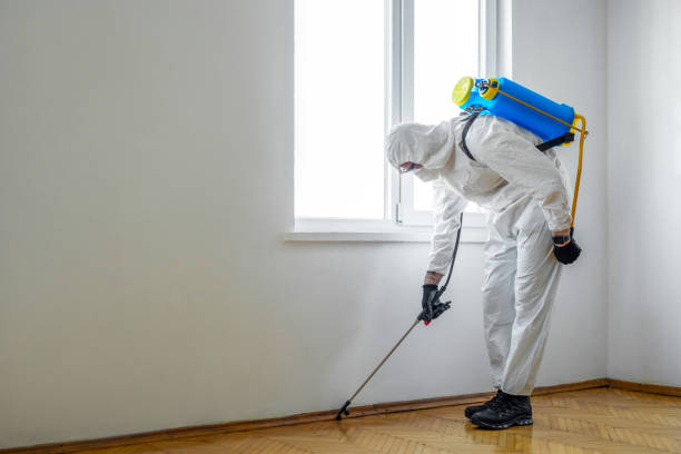 Reliable Fort Walton Beach, FL Pest Control Solutions