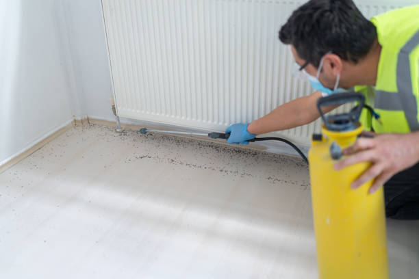 Best Pest Prevention Services  in Fort Walton Beach, FL